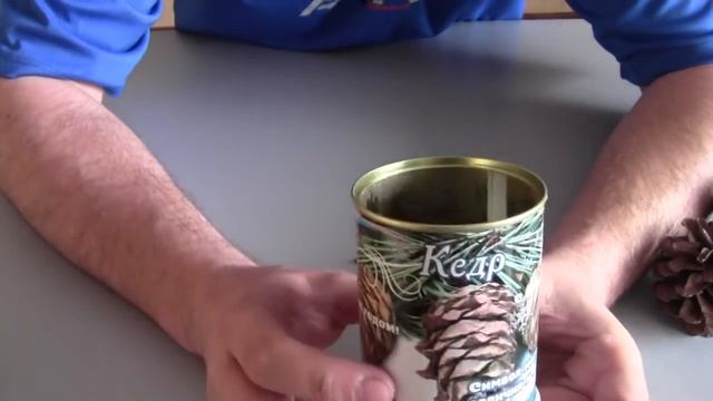 выращивание кедра в квартире - 2 продолжение смотреть онлайн