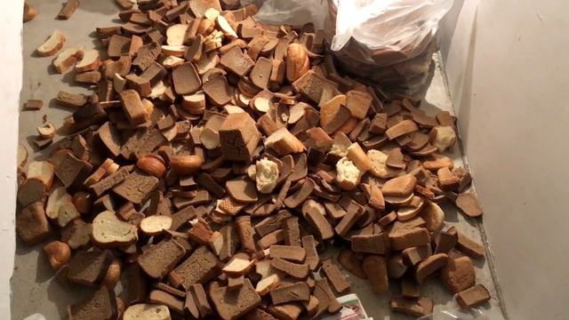 Как Откормить ДЕШЕВО Свинью смотреть онлайн