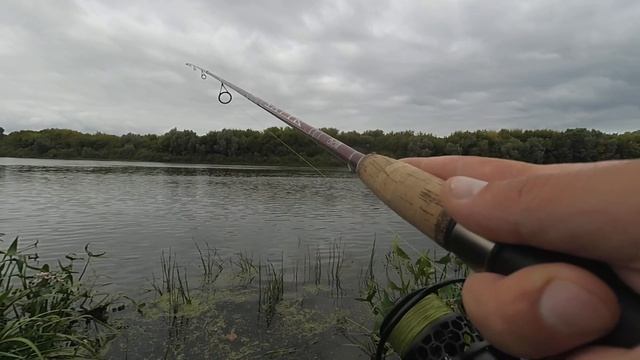 Эта приманка работает по крупной щуке! Рыбалка на джиг с берега! Ловля щуки на Оке! смотреть онлайн