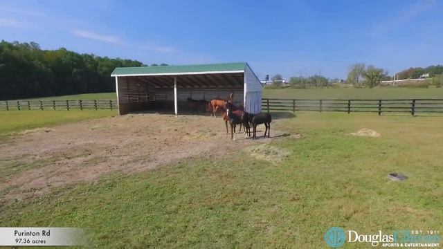 Saratoga New York World-Class Thoroughbred Horse Farm - Celebrity Properties смотреть онлайн