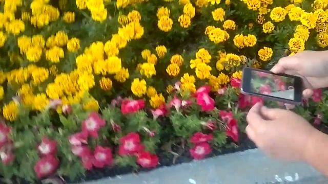 Радужный хмао югра смотреть онлайн
