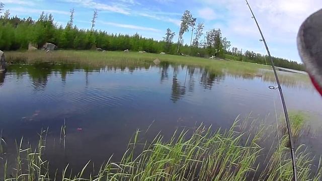 Кроулер Lucky Craft Keroll Max - ловля среди травы. смотреть онлайн