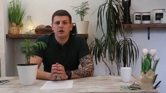 Растения для предметного и Фуд-фотографа смотреть онлайн