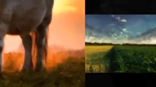 СТИХ КАВАЧА смотреть онлайн