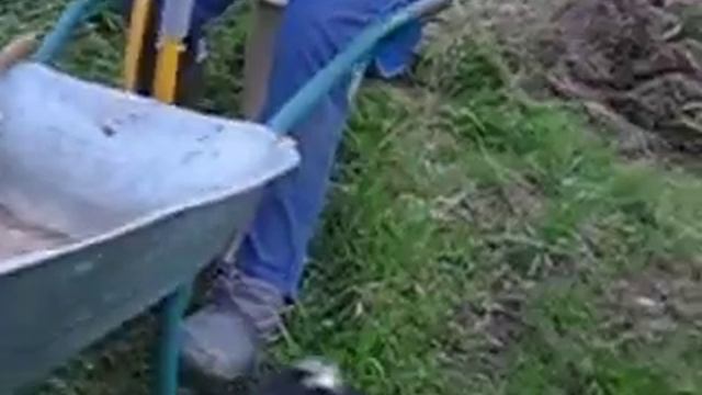 Дача-мобиль смотреть онлайн