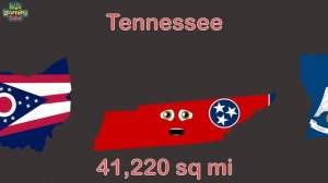 Largest Things on Earth Size Comparisons | 3D Size Comparison Compilation