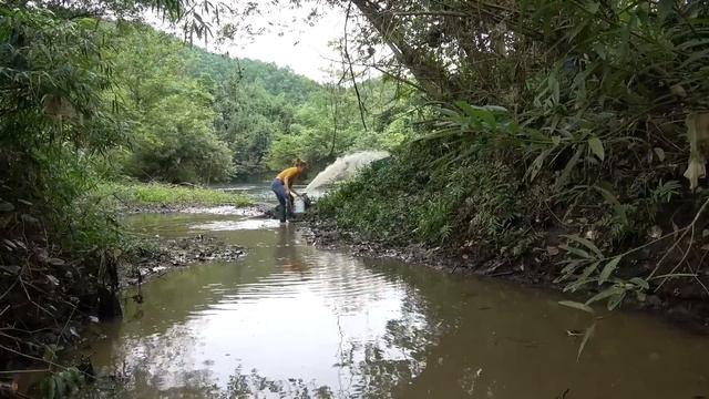 Daily Life Catch Big Fish, River and Lake Fishing Experience - Fishing Machine Catch Many Lake Fish смотреть онлайн