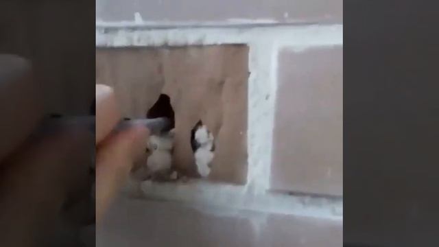 как_НЕ_нужно_делать_ремонт