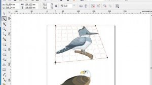 Перспектива объекта в CorelDraw