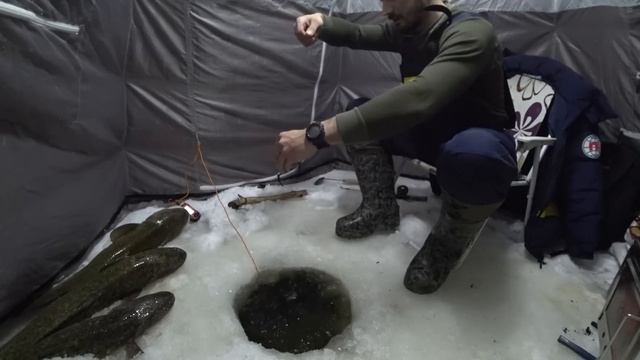 ПЕРВЫЙ ЛЁД. ИГРА ПО-КРУПНОМУ. Ловля налима. смотреть онлайн