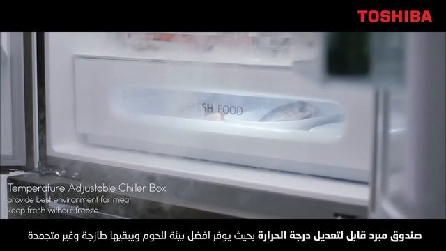 Toshiba Double Door Refrigerator смотреть онлайн