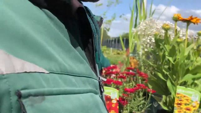 Looking Good Plants Wk33 2012 смотреть онлайн