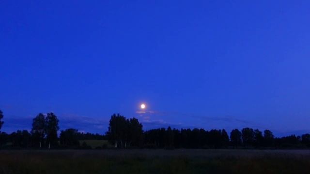 8 Hour 4K Music Therapy Nature night grasshoppers sound | Relaxation-Soothing-Meditation music смотреть онлайн