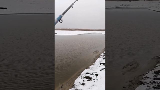 Рыбалка на реке Лена около Якутска. Погода жуть 🤩 смотреть онлайн