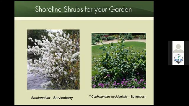 Best for the Biosphere: Gardening with Native Plants смотреть онлайн