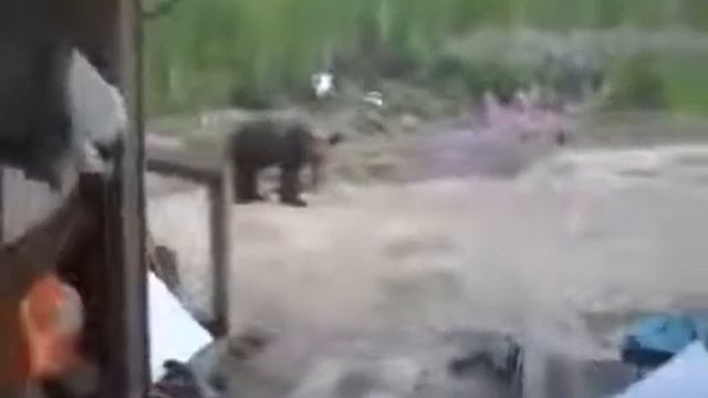 Это были их последние мгновения.