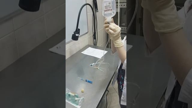 Как поставить в/в капельницу животному смотреть онлайн