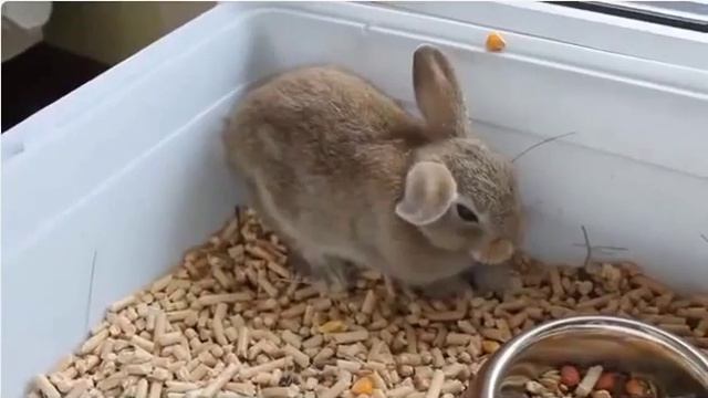 Как я засыпаю после тяжелой тренировки)) смотреть онлайн