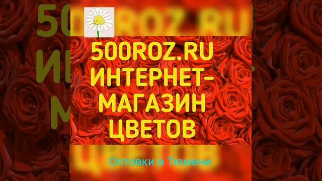 500 роз Тюмень /купить/заказать/цена/стоимость смотреть онлайн