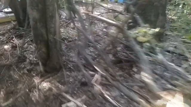 Мёд! Как мы докатились до такого!