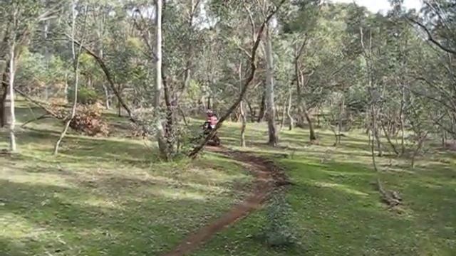 Weekend Riding - CRF150RB + CR80R смотреть онлайн