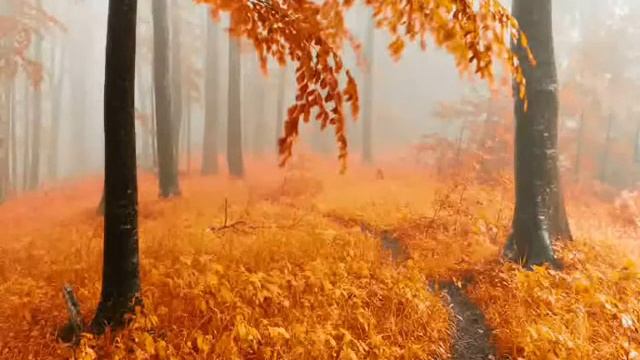 Mix 2017 - Thomas Anders & Lesson at the station Unit 5 & Blue System смотреть онлайн