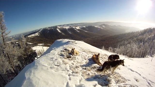 крака18 смотреть онлайн