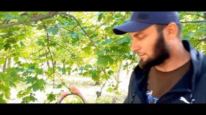 Regulmoto TE (Tour Enduro)Первые плюсы и минусы после покупки мото/KUSTOV BROTHERS VIDEOS/