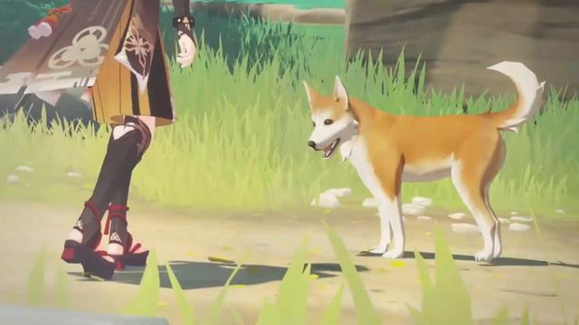 Сколько примогемов мы получив за патч 3 5.Genshin impact . смотреть онлайн