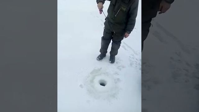 Леша зимняя рыбалка