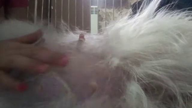 Искусство Сотворения