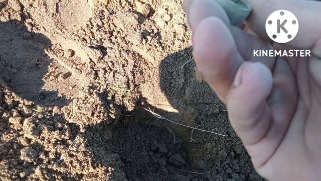 Простой шурф с МД-6450. смотреть онлайн