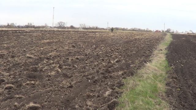 посадка\\люцерны с овсом смотреть онлайн