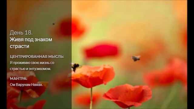 18 день «Живя под знаком страсти» Медитации Дипака Чопры смотреть онлайн