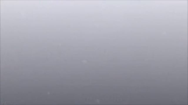 shawys t5 blackgood смотреть онлайн