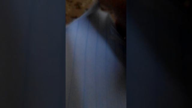 Как сделать герб смотреть онлайн