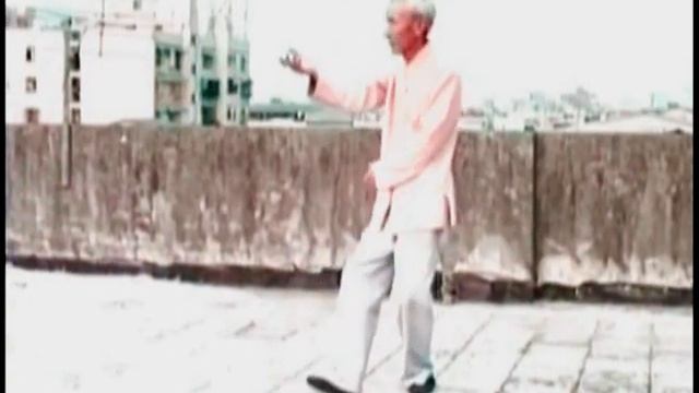 Мастер тайцзи Тао Пинсян / Taichi Master Tao Ping Siang