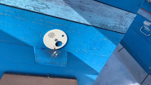 Зимовка пчёл Февраль 2022 смотреть онлайн