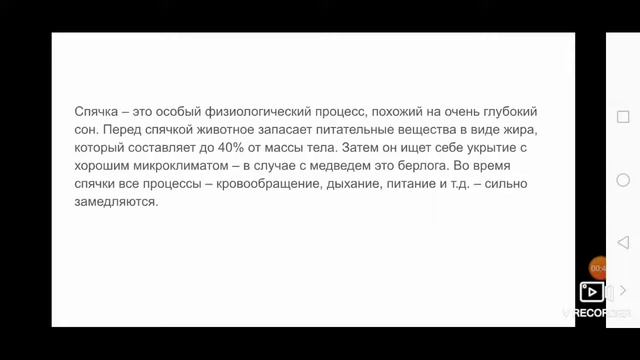 Почему медведи и ежи уходят в зимнюю спячку смотреть онлайн