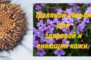 Травяной лосьон для здоровой и сияющей кожи#ОбовсемSeviliya#травянойлосьондляздоровойисияющейкожи