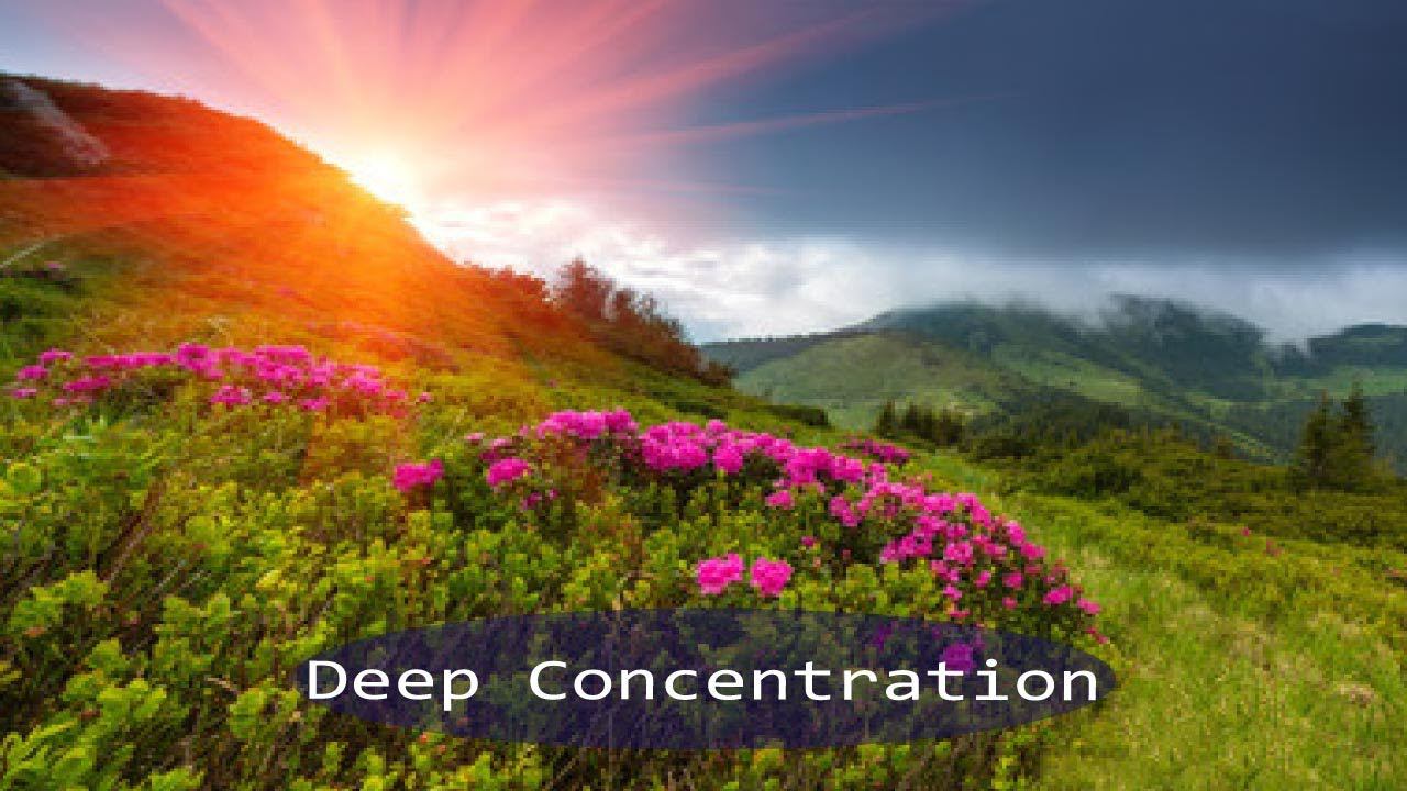 Embracing Peaceful Sounds Of Nature's Beauty, Ambient Music, World Of Musical Relaxation