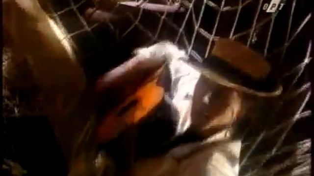 Утренняя почта (ОРТ, 8.06.1996) смотреть онлайн