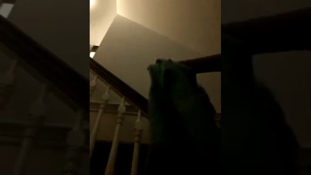 Ronnie the hobo episode 4 making out смотреть онлайн