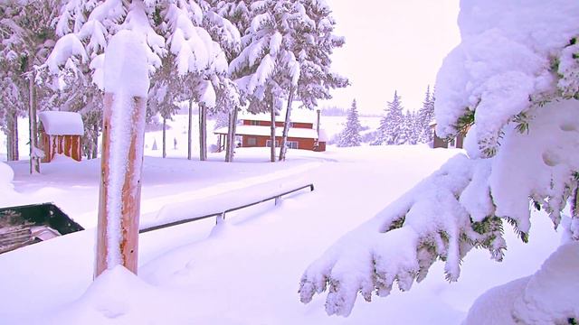 Красивые мелодии до слёз! Одна из самых красивых, волшебных зимних мелодий! Музыка Сергея Грищука!# смотреть онлайн