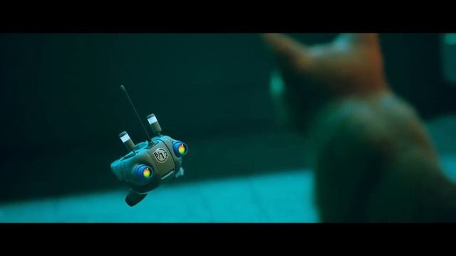 stray bug report смотреть онлайн
