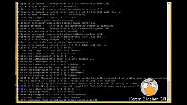 Debian Mysql Server Kurulumu смотреть онлайн