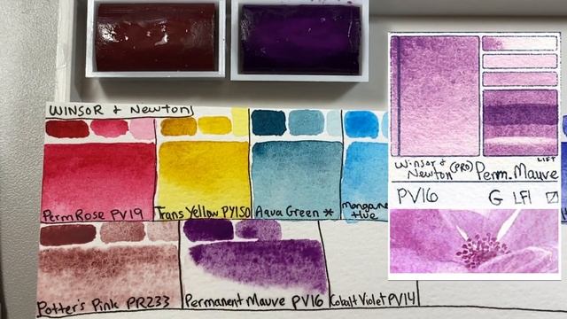 Top 20 Winsor and Newton Professional Watercolor Review 109 Dot Card - Unique  Granulating Palette