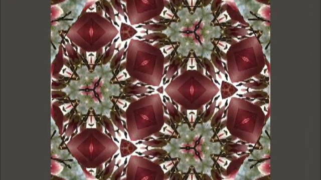 Magnolia Moving Mandala Meditation - A Brief History of The Define Feminine смотреть онлайн