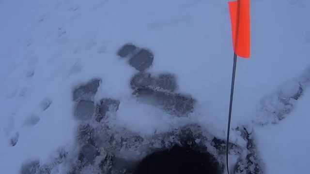 обзор ловля на старице на гвоздешарик смотреть онлайн