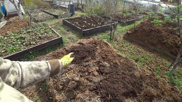 Что позволяет посеять кабачки в открытый грунт на месяц раньше? смотреть онлайн